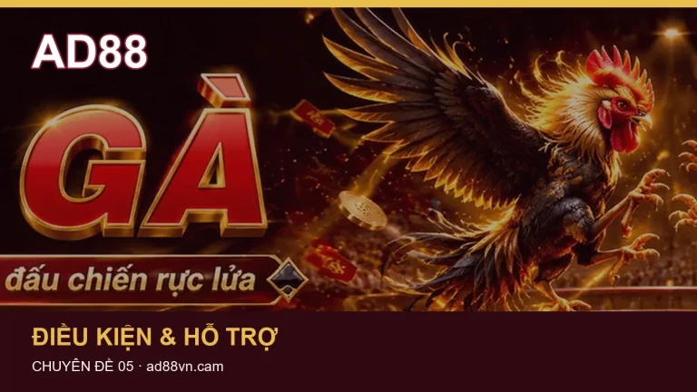 Hỏi đáp Điều kiện & hỗ trợ: phạm vi hỗ trợ và dữ liệu cần tránh gửi – chuẩn bị bằng chứng an toàn khi phản hồi