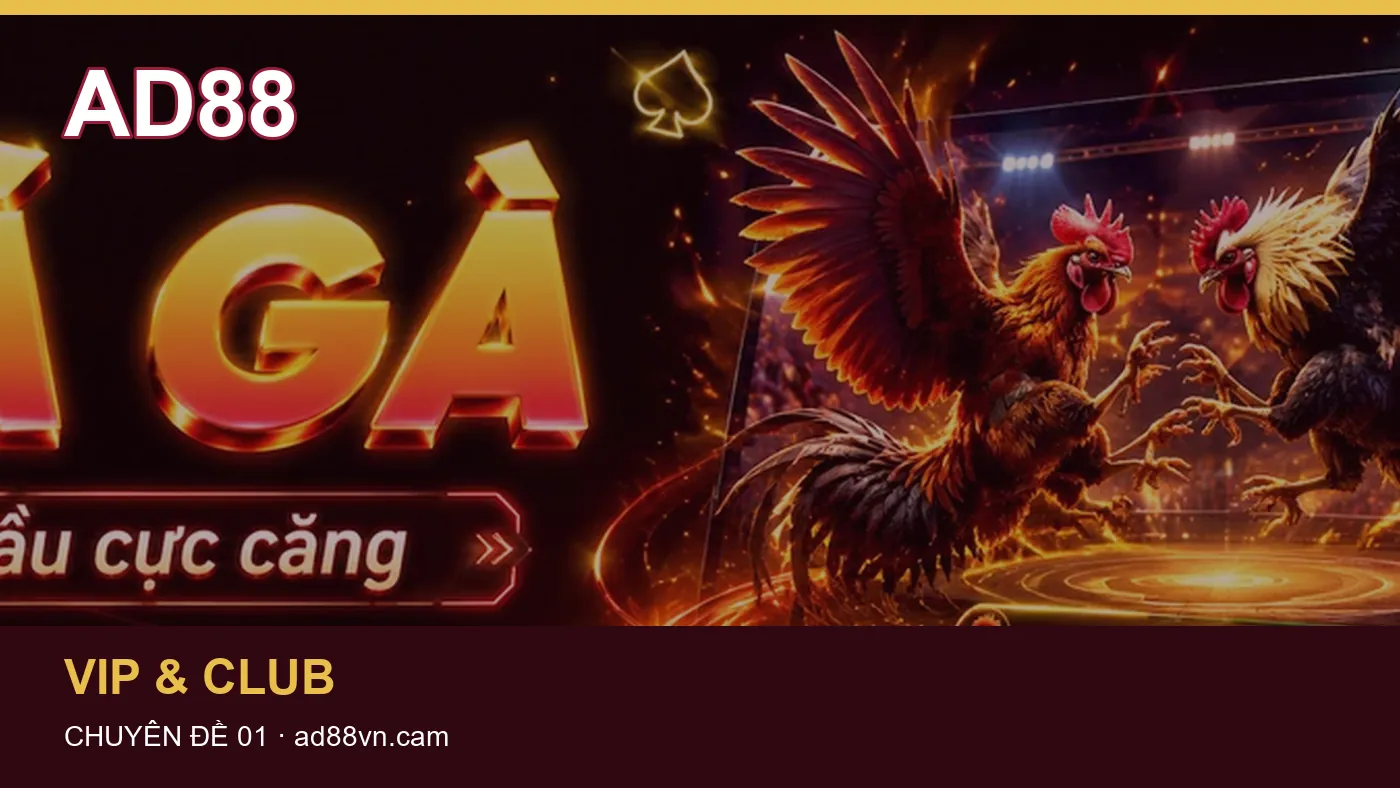 Ảnh minh họa cho bài “Bảng kiểm tra điều kiện của chuyên mục Nạp tiền – bảo vệ dữ liệu trong bước ghi nhận giao dịch”