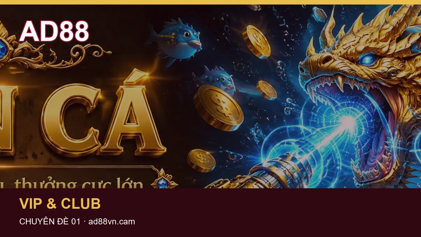 Ảnh minh họa cho bài “Tìm hiểu VIP & Club: đọc điều kiện trước khi quyết định – hiểu phạm vi thành viên và điều kiện cấp”