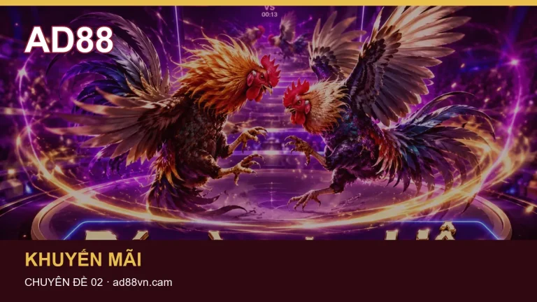 VIP & Club trên điện thoại: cách kiểm tra từng bước – hiểu phạm vi thành viên và điều kiện cấp